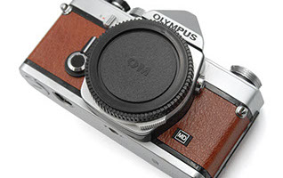 Recycled Leather Angus Texture