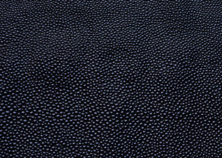 Black Stingray Leather