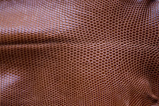 Lizard Leather