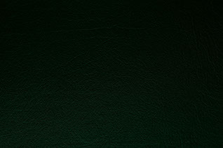 Leather - Angus Texture