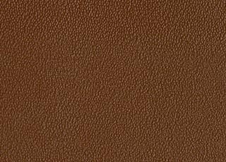 Leather With Grainy Texture