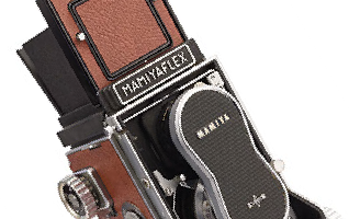 Recycled Leather Angus Texture