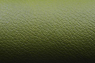 Embossed Moroccan Leather